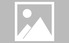 青岛老城区网红小店开枝散叶青岛台东步行街：承载百年记忆 弄潮消费前沿