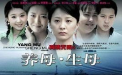 电视剧养母,一个关于母爱、责任与成长的故事