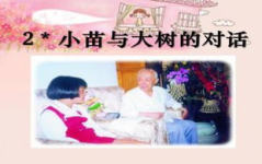 小苗与大树的对话ppt,小苗与大树的智慧对话