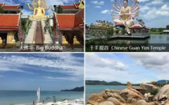 自由游旅行网,自由游旅行网带你畅游世界
