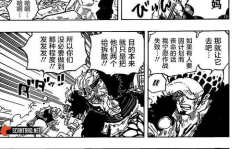 海贼王漫画1010